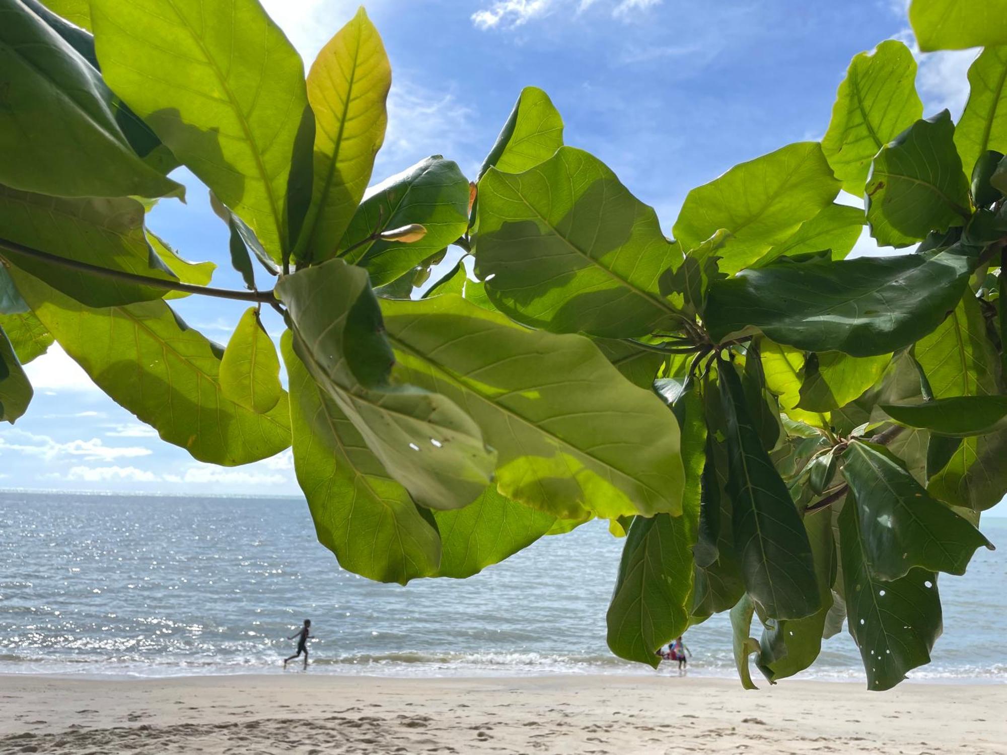 バツーフェリンギビーチ Batuferringhi Children Waterslid Paradise 3Mins To The Beachヴィラ エクステリア 写真